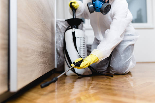 Best Termite Control Services  in Oak Ridge, TN
