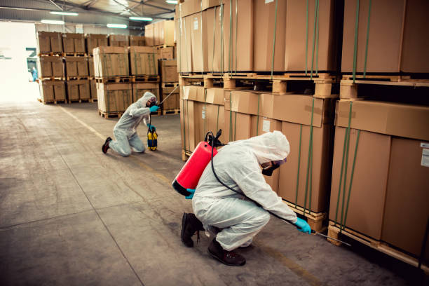 Best Flea Control Services  in Oak Ridge, TN