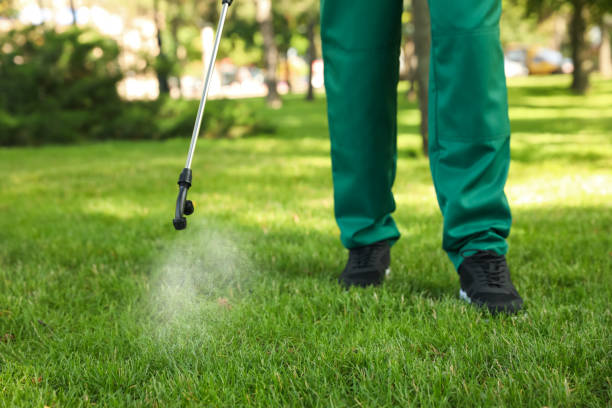 Best Ant Control Services  in Oak Ridge, TN