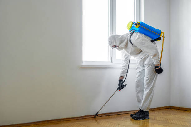 Pest Control for Restaurants in Oak Ridge, TN