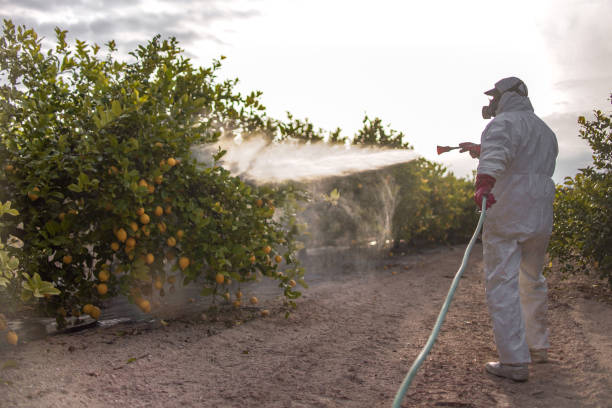 Best Pest Control Near Me  in Oak Ridge, TN