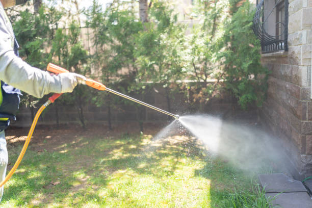 Best Residential Pest Control  in Oak Ridge, TN