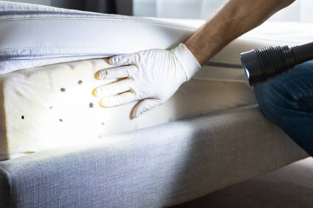 Best Pest Control for Restaurants  in Oak Ridge, TN